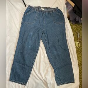 Classic Elements size 22W light wash straight leg jeans